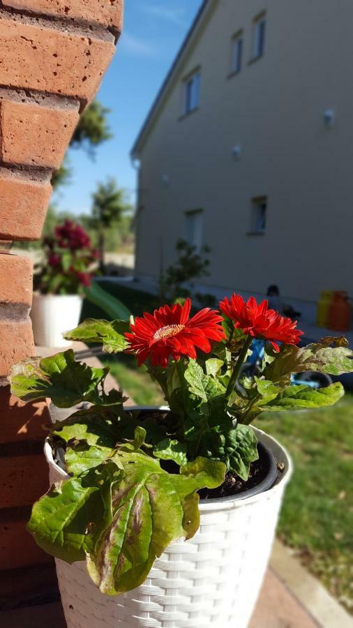 Apartmani "Sandro" Gonar Rab Town Exteriér fotografie