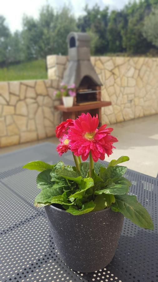 Apartmani "Sandro" Gonar Rab Town Exteriér fotografie